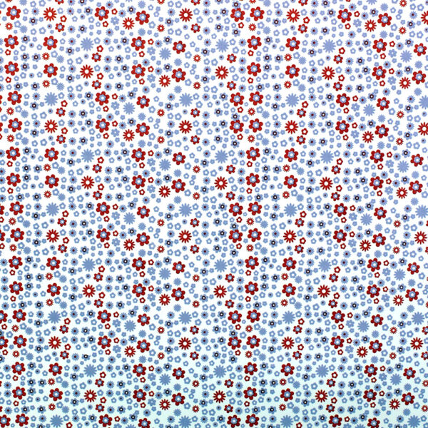 GOMA EVA PINTADA 40X60 EFREN FLORCIT LL/RJ 02