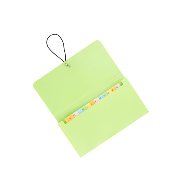 CLASIFICADOR 12 DIV P/ CHEQ KOBY VERDE PASTEL