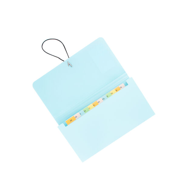 CLASIFICADOR 12 DIV P/ CHEQ KOBY CELES PASTEL