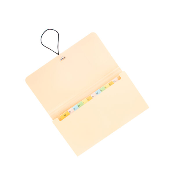 CLASIFICADOR 12 DIV P/ CHEQ KOBY DURAZ PASTEL